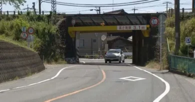 Mulher coloca rosto para fora de carro em movimento e morre após bater cabeça na lateral de viaduto em Gifu