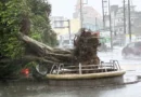 Tufão deve afetar trens e estradas em Aichi, Mie e outras províncias; Okinawa registra mais de 10 feridos