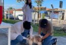 Prefeitura vacina 302 animais em ação antirrábica na USF Santa Paula/Marajó