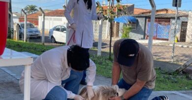 Prefeitura vacina 302 animais em ação antirrábica na USF Santa Paula/Marajó
