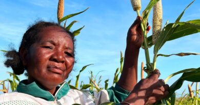 El Niño: Agências da ONU Solicitam US$ 202 Milhões para Ação Preventiva