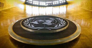 Disputa pela Presidência da Assembleia Geral da ONU Define Sucessor de Baerbock