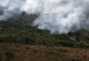 Primeiro semestre de 2026 tem menor emissão de gases por incêndios desde 2003, aponta Copernicus
