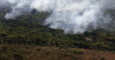 Primeiro semestre de 2026 tem menor emissão de gases por incêndios desde 2003, aponta Copernicus