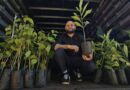 Programa Plante Aí ultrapassa 100 árvores plantadas e incentiva moradores a arborizarem as calçadas de Marília