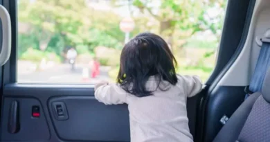 Pachinkos do Japão resgataram mais de 500 crianças sozinhas em carros na última década