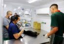 Castramóvel realiza 546 castrações gratuitas em Marília e Secretaria orienta tutores afetados por instabilidade no sistema SinPatinhas