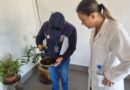 COMBATE À DENGUE: Prefeitura realiza ação de BCC no sábado em área de abrangência da USF Liliana/Santa Antonieta II