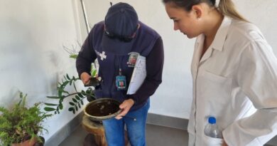 COMBATE À DENGUE: Prefeitura realiza ação de BCC no sábado em área de abrangência da USF Liliana/Santa Antonieta II