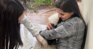 Vacinação antirrábica na USF Jardim Flamingo registra mais de 190 animais imunizados