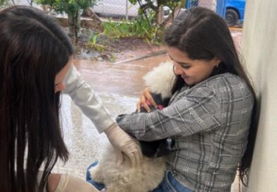 Vacinação antirrábica na USF Jardim Flamingo registra mais de 190 animais imunizados