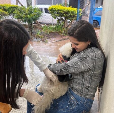 Vacinação antirrábica na USF Jardim Flamingo registra mais de 190 animais imunizados