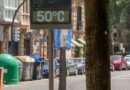 OMS: Calor extremo na Europa é uma emergência de saúde pública