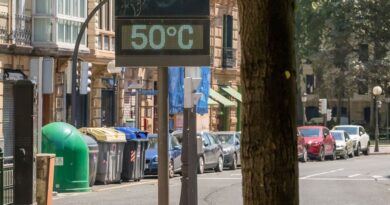 OMS: Calor extremo na Europa é uma emergência de saúde pública