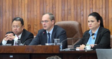 Câmara vota instituição da Comenda ‘Aldo Pedro Conelian’ e mais três projetos de lei