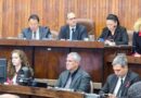 Vereadores votam obrigatoriedade da divulgação de benefícios funerários e incentivo a denúncia de maus-tratos a animais