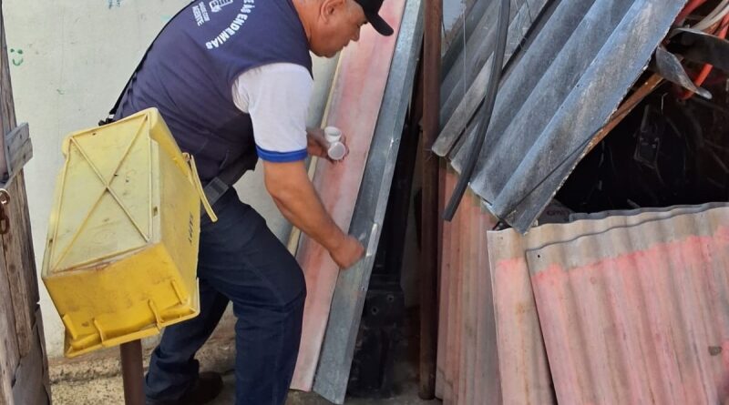 Mobilização contra a dengue faz mais de 2 mil visitas e elimina cinco focos do Aedes aegypti
