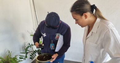 Prefeitura realizará mais duas ações de combate à dengue neste sábado