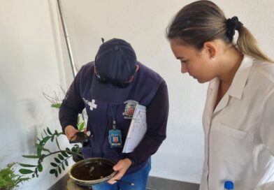 Prefeitura realizará mais duas ações de combate à dengue neste sábado