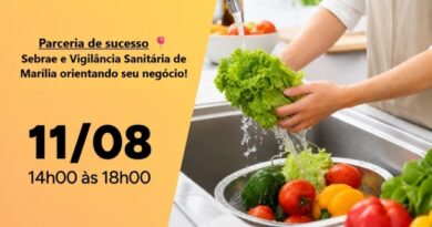 Secretaria da Saúde e Sebrae/SP promovem Oficina sobre “Boas práticas na manipulação de alimentos”