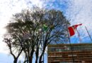 Independência do Brasil: Prefeitura realizará ato cívico no dia 7 de setembro, segunda-feira