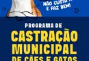 Prefeitura vai abrir 150 vagas para castração de cães da raça pitbull