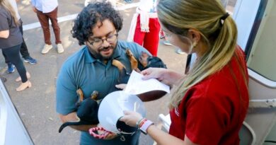Causa Animal: Prefeitura de Marília vai abrir neste sábado, dia 12, 150 vagas para a castração de cães da raça pitbull