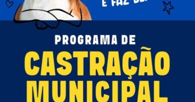 Prefeitura vai abrir 150 vagas para castração de cães da raça pitbull