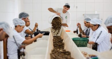 Consulta sobre bens sustentáveis no acordo Mercosul–UE acaba na quarta