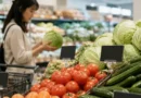 Compras mais caras: preços do repolho, pepino e tomate disparam no Japão