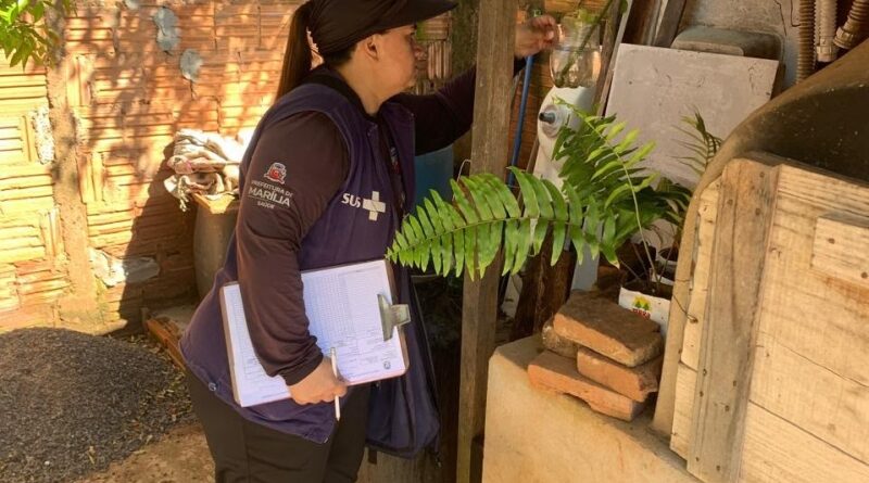 Mobilização contra a dengue faz mais de 2.500 visitas e elimina 35 focos do Aedes