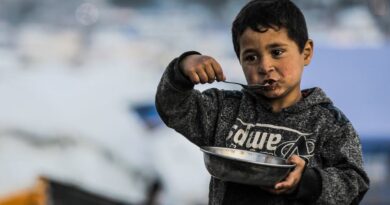 Guerras e crise climática ameaçam avanço contra a fome, alerta ministro à ONU News