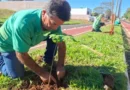 Prefeitura realiza plantio de 200 mudas de Ipê Branco no Reserva Tupã