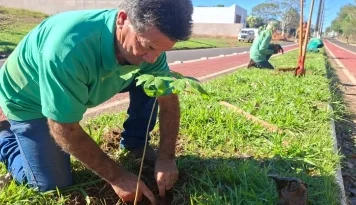 Prefeitura realiza plantio de 200 mudas de Ipê Branco no Reserva Tupã