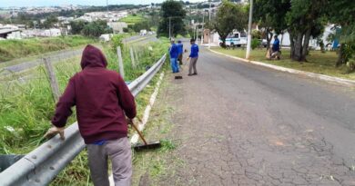 Zeladoria:: Prefeitura mantém serviços de capinação, podas e limpeza em todas as regiões de Marília