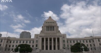 Projeto de lei para reduzir imposto sobre consumo de alimentos é debatido na Câmara Baixa do Japão