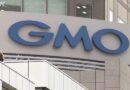 Vazamentos de dados pessoais preocupam clientes do GMO