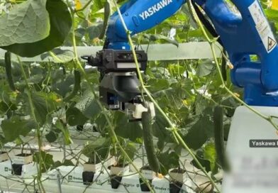 Robô dotado de IA auxilia agricultores na colheita