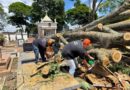 Emdurb intensifica trabalhos no Cemitério da Saudade após temporal