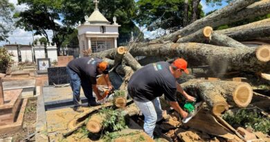 Emdurb intensifica trabalhos no Cemitério da Saudade após temporal